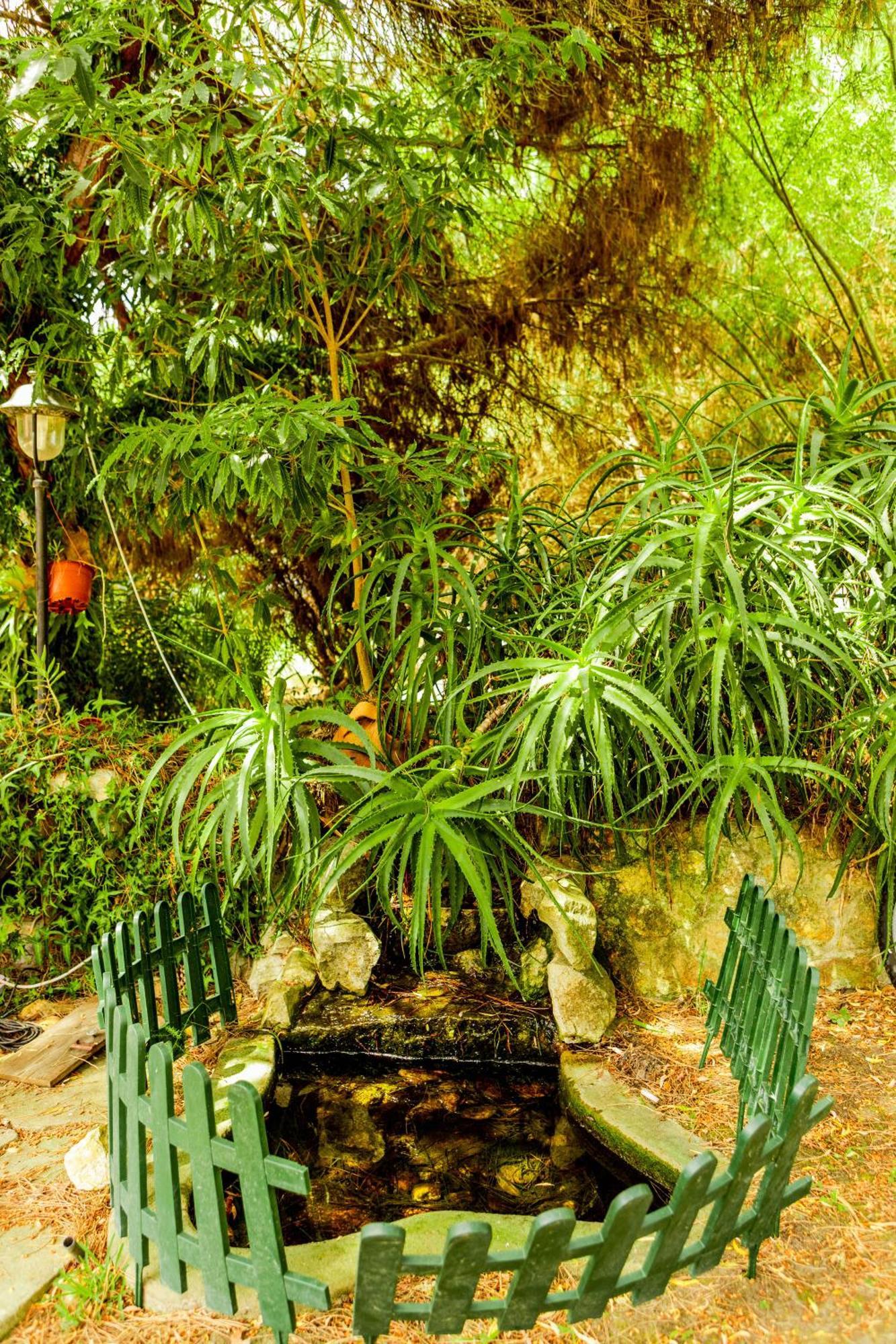 Quinta O Refugio Vila Azambuja Exterior foto